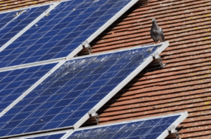 Rimozione guano fotovoltaico
